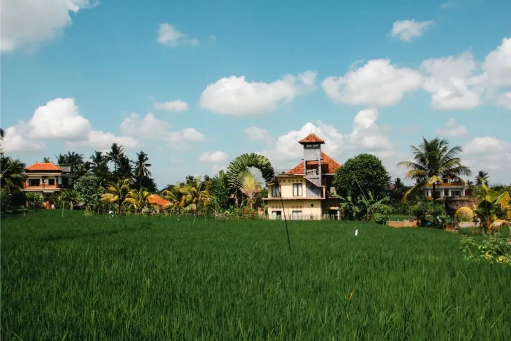 destinasi wisata ubud