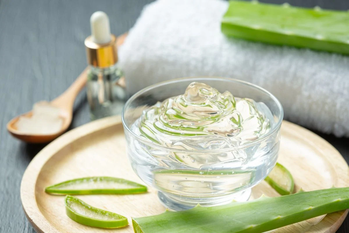 You are currently viewing 6 Manfaat Aloe Vera untuk Kesehatan Kulit Wajah, Makin Segar Bercahaya