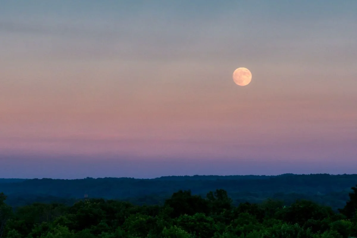 You are currently viewing Fenomena Pink Moon: Simbol Pembaruan dan Kesadaran Diri di Langit April
