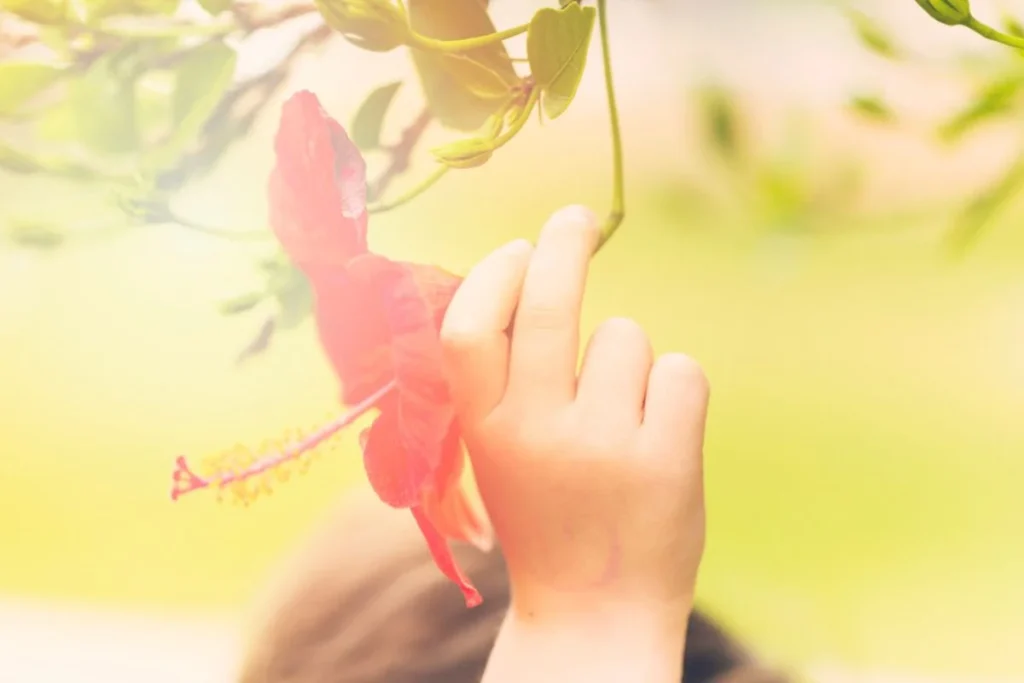 JENIS-JENIS LUKA INNER CHILD