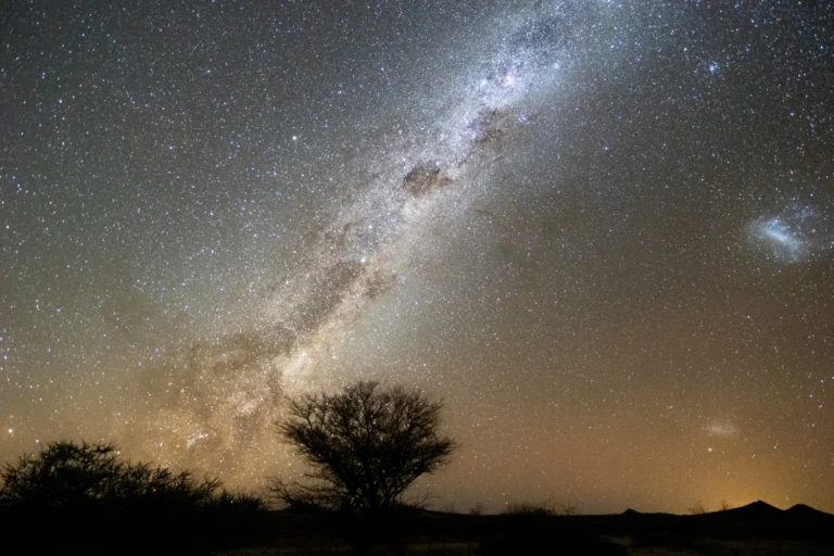 Read more about the article Lion’s Gate Portal: Mengapa 8 Agustus (8/8) Penting untuk Manifestasi?