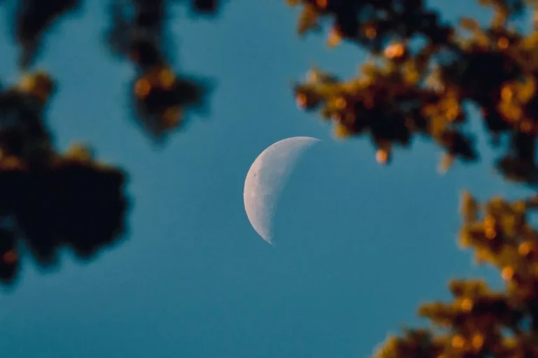 Read more about the article Menyemai Niat Baru di Tengah Kosmos dari New Moon Oktober 2025 dalam Libra