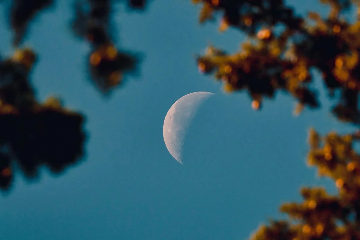 Read more about the article Menyemai Niat Baru di Tengah Kosmos dari New Moon Oktober 2025 dalam Libra