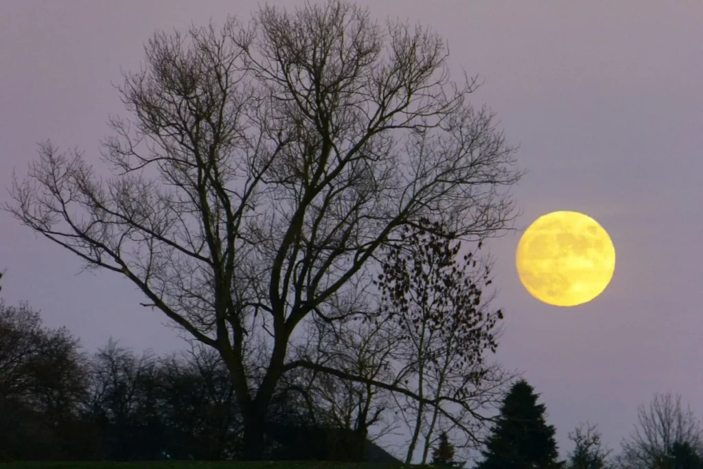 Supermoon Desember 2025 2